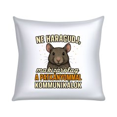   Ne haragudj, ma kizárólag a patkányommal kommunikálok párna
