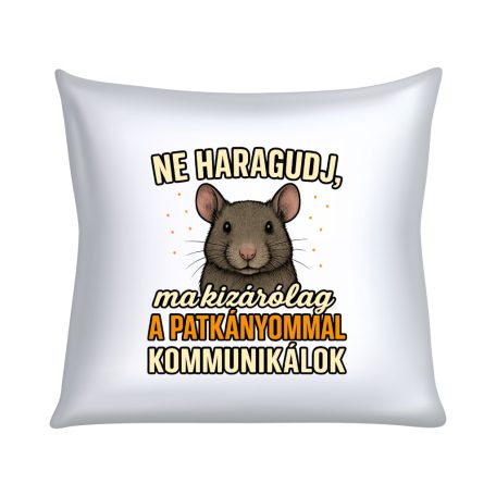 Ne haragudj, ma kizárólag a patkányommal kommunikálok párna