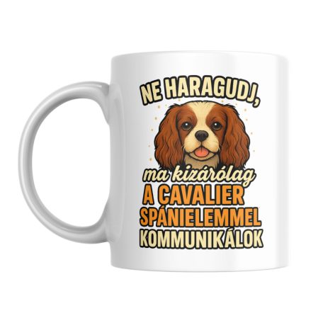 Ne haragudj, ma kizárólag a cavalier spánielemmel kommunikálok bögre