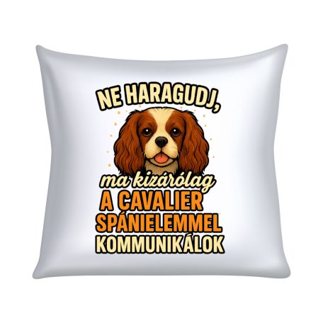 Ne haragudj, ma kizárólag a cavalier spánielemmel kommunikálok párna