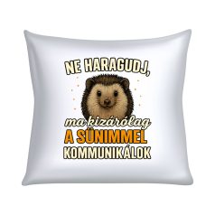   Ne haragudj, ma kizárólag a sünimmel  kommunikálok párna