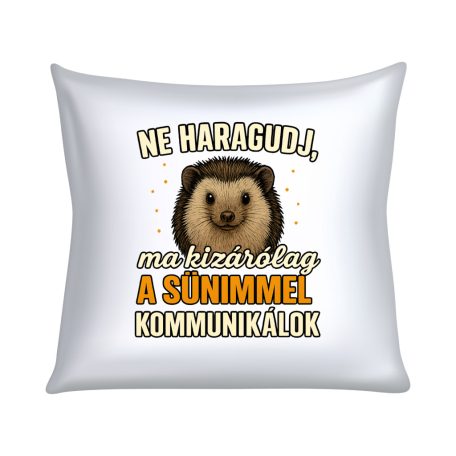 Ne haragudj, ma kizárólag a sünimmel  kommunikálok párna