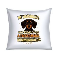   Ne haragudj, ma kizárólag a tacskómmal kommunikálok párna