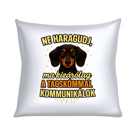Ne haragudj, ma kizárólag a tacskómmal kommunikálok párna