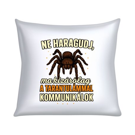 Ne haragudj, ma kizárólag a tarantulámmal kommunikálok párna