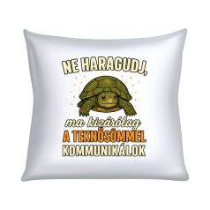   Ne haragudj, ma kizárólag a teknősömmel kommunikálok párna