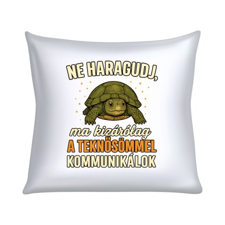 Ne haragudj, ma kizárólag a teknősömmel kommunikálok párna