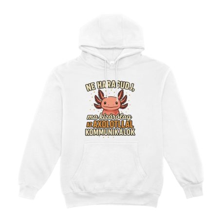 Ne haragudj, ma kizárólag az axolotllal kommunikálok pulóver