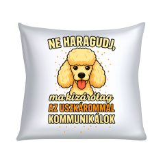   Ne haragudj, ma kizárólag a uszkárommal kommunikálok párna