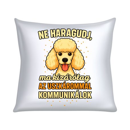 Ne haragudj, ma kizárólag a uszkárommal kommunikálok párna