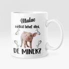 Színes - Malac nélkül lehet élni, de minek? bögre