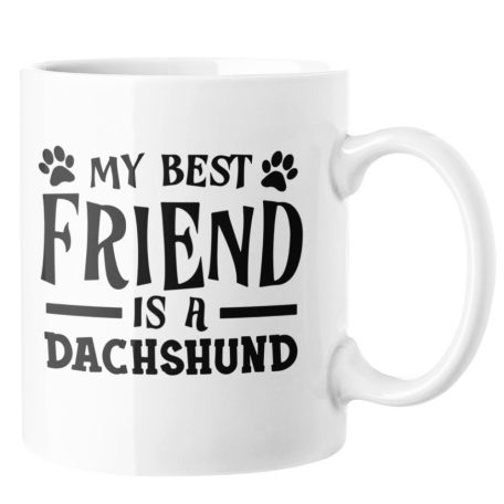 My best friend is dachshund bögre