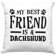 My best friend is dachshund párna