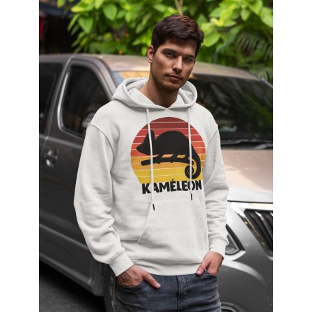 Retró kaméleon pulóver