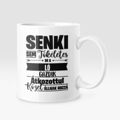   Senki sem tökéletes, de az ló gazdik átkozottul közel állnak hozzá bögre