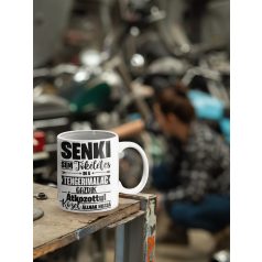   Senki sem tökéletes, de az tengerimalac gazdik átkozottul közel állnak hozzá bögre