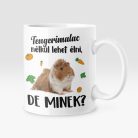 Színes - Tengerimalac nélkül lehet élni, de minek? bögre