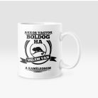 Akkor vagyok boldog, ha velem van a kaméleonom bögre